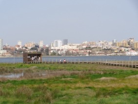 DSC02063