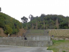 DSC02005