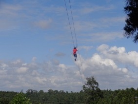 DSC02446