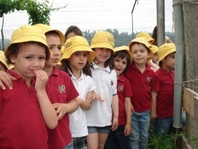DSC05553_sim