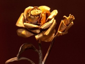 rosa_de_ouro-1140x855