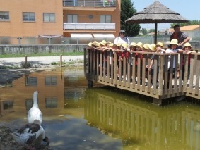 SDC15051