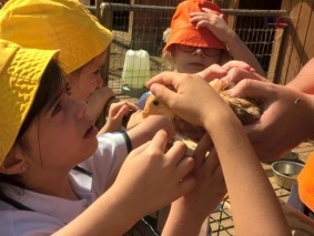 WP_20170612_10_09_54_Pro