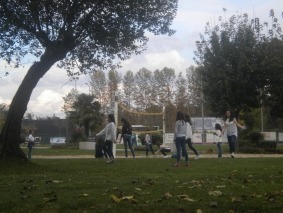 DSCN0771