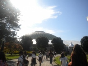 colegio horizonte 024