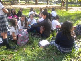 Imagem 025