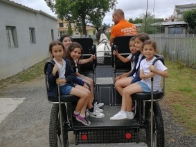 IMG_20180702_153735
