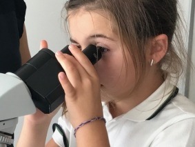 IMG_3063