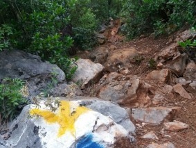 thumbnail_36a65565-7a27-4f89-b912-6113bbb13ac5