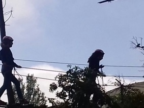 IMG-20180629-WA0020