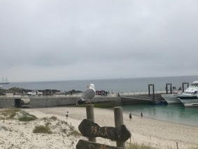 image14