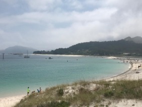 image15
