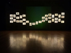 image6 (1)