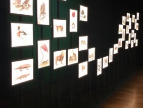 image8 (1)