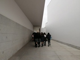 IMG_20200204_111344