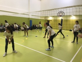 IMG_1956