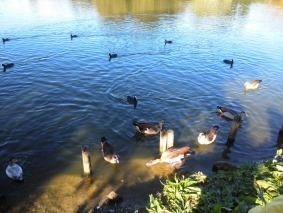 IMG_20191010_101630