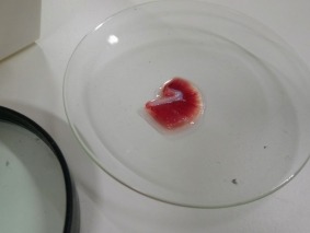 IMG-20200131-WA0005