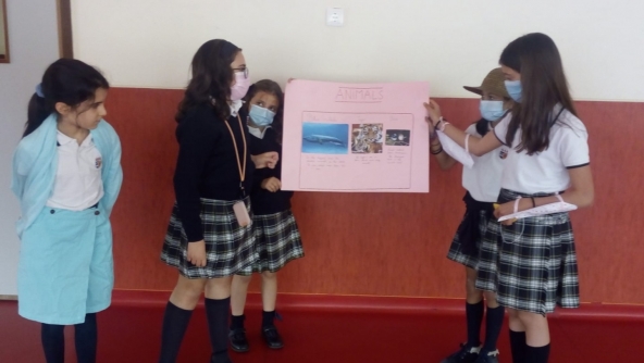Planalto - A different english lesson!