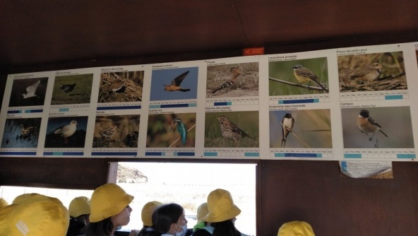 Planalto - Visita de Estudo do 1º CEB