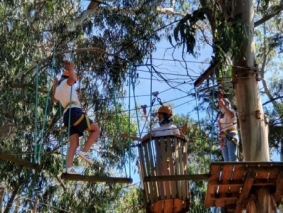 IMG-20210623-WA0006