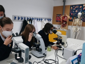 microscopio_2