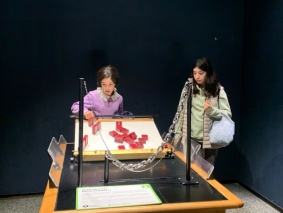IMG-20221106-WA0007