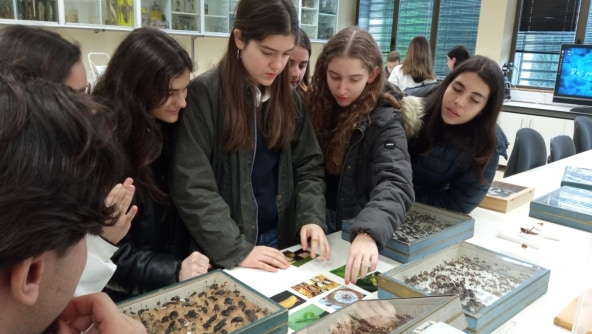 Planalto - Dia Aberto da Faculdade de Ciências da Universidade do Porto