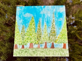Foto 11