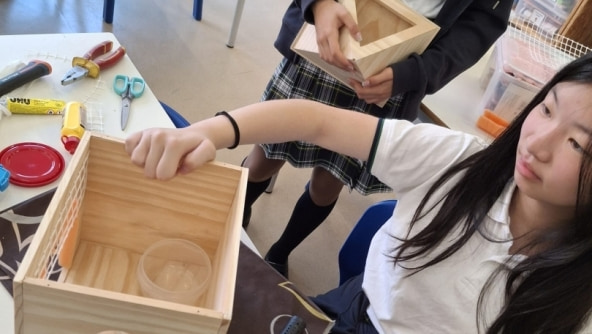 Planalto - Design no 7.º ano