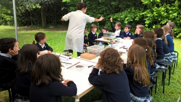Planalto - Bioblitz Serralves