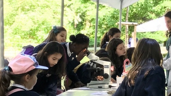 Planalto - 1º CEB participou nas Oficinas Educativas BioBlitz