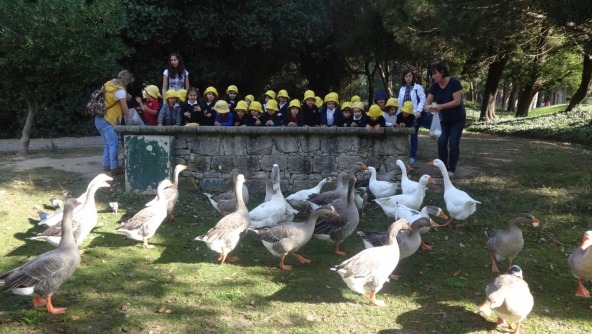 Planalto - Os 3 anos foram ao Parque