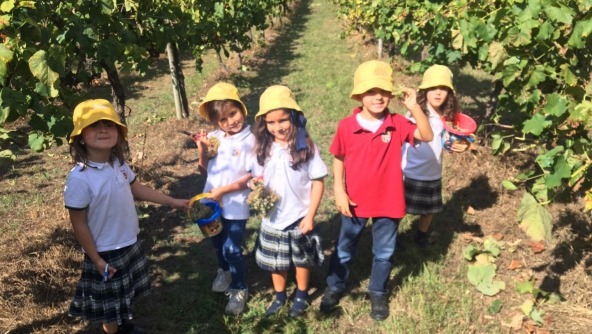 Planalto - Visita de Estudo à Quinta da Eira - 4 e 5 anos