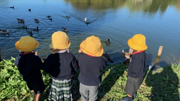 Planalto - 3 anos no Parque da Cidade